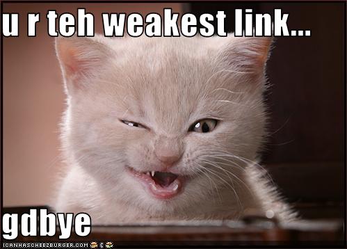 funny-pictures-kitten-calls-you-weakest-link.jpg